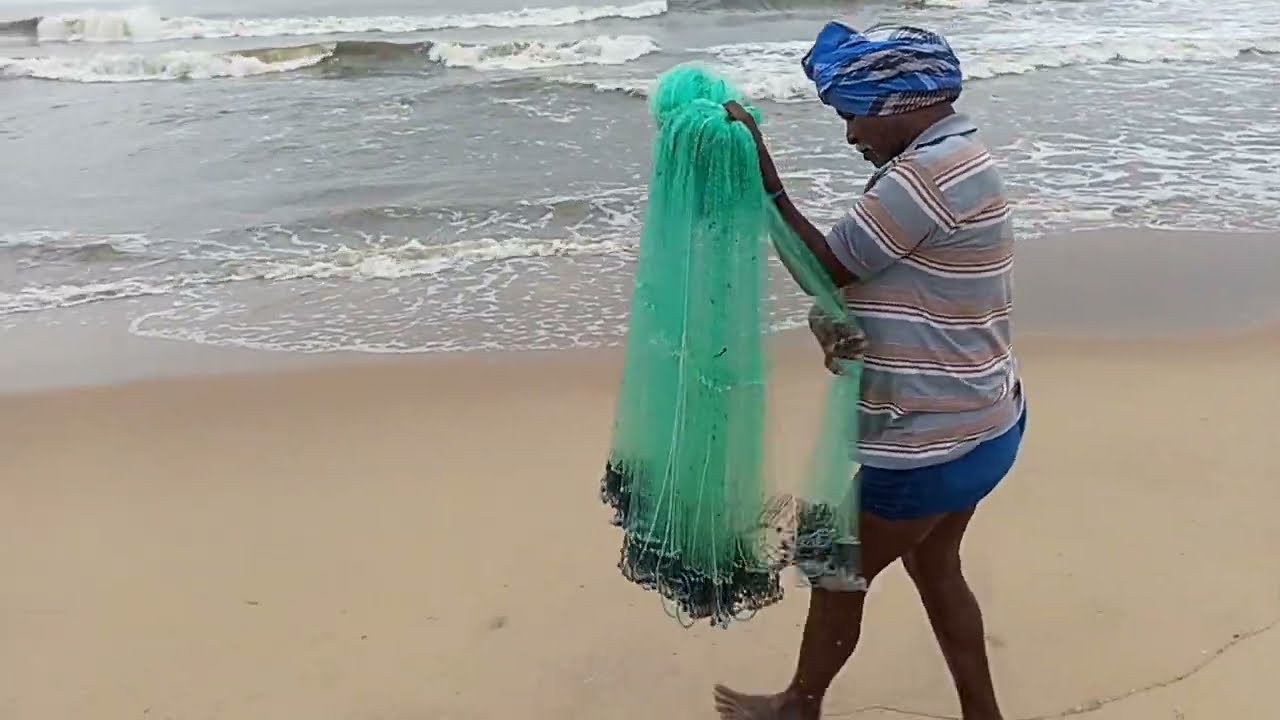 HOW TO FISH IN A THROW NET|வீசுறு வலையில் எப்படி மீன் பிடிக்கிறார்கள்?