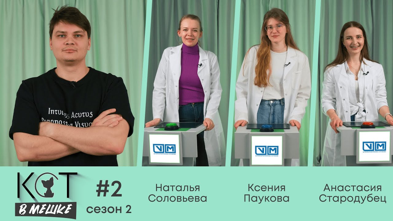 Кот в мешке #2 Сезон 2. Соловьева, Паукова, Стародубец