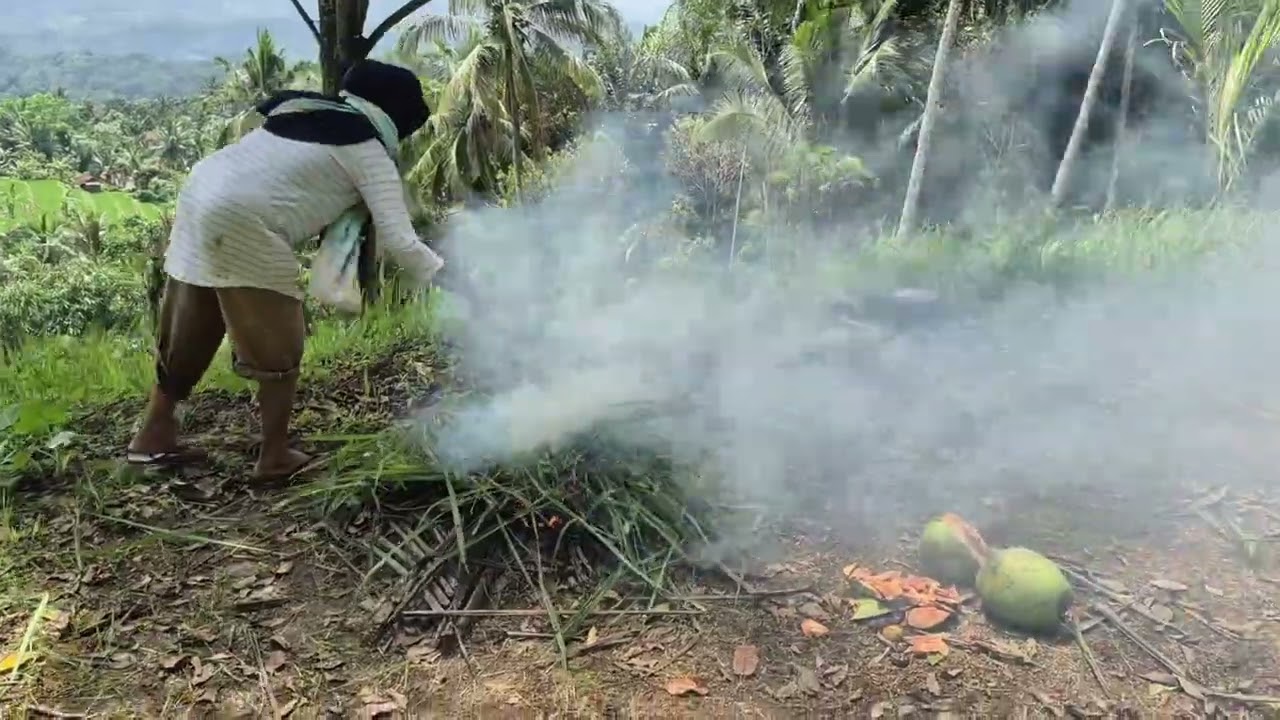 Kegiatan pas Libur kerja || sawah, kebun #youtube #my #part1 