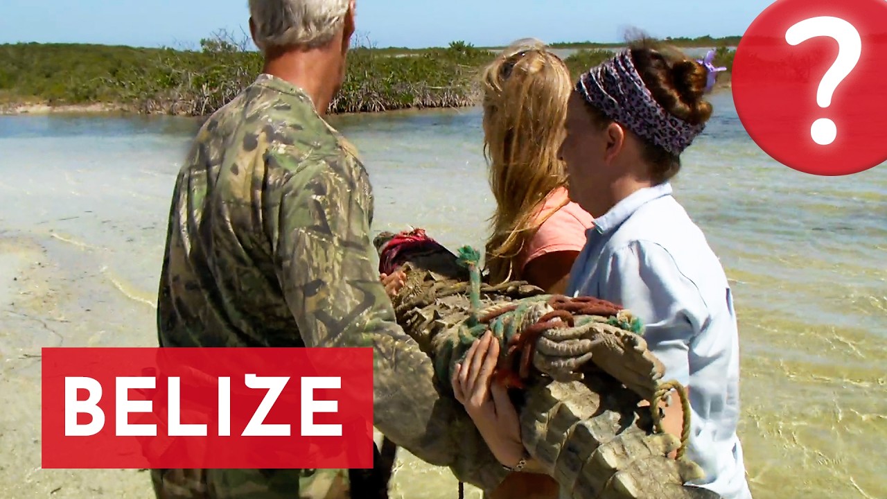 Belize : Gardiens, voyageurs et explorateurs au cœur des Caraïbes !