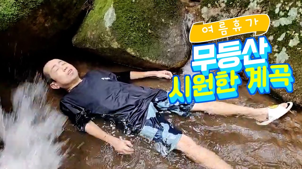 작약꽃  여름철  태양을 피하는방법(사고조심!)