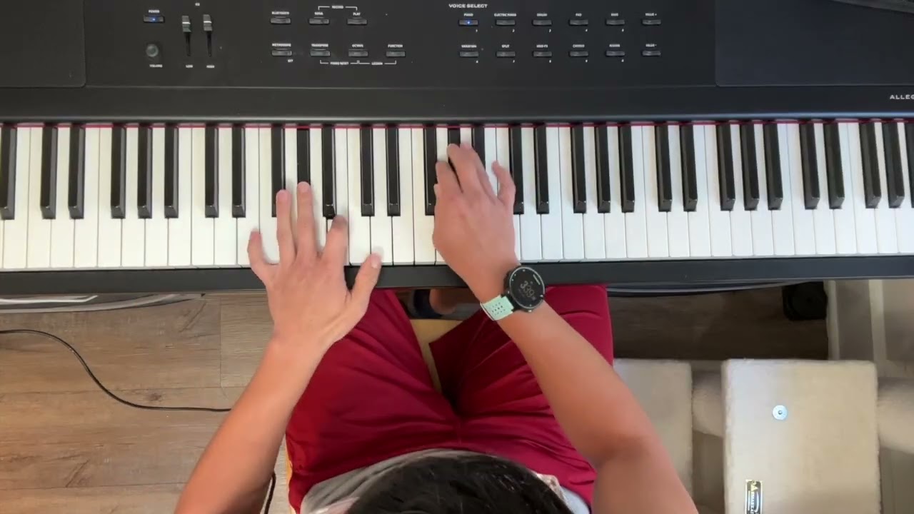 Passacaglia - Handel/Halvorsen