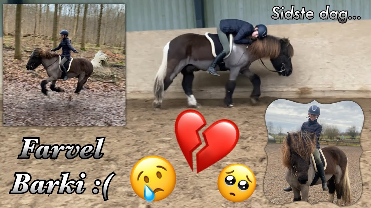 Min sidste dag med Barki :(