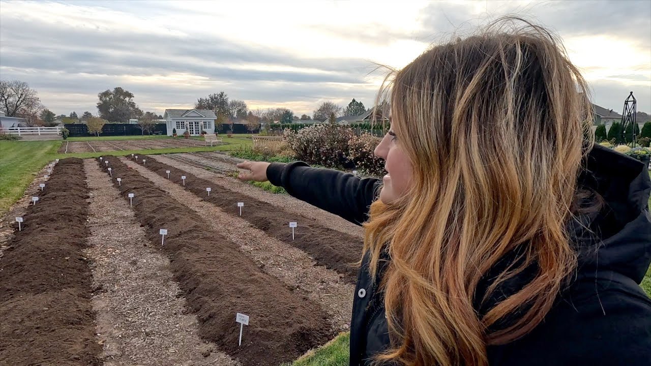 Planting Lots of Daffodils & Tulips in the Cut Flower Garden! 🌷🙌✂️ // Garden Answer