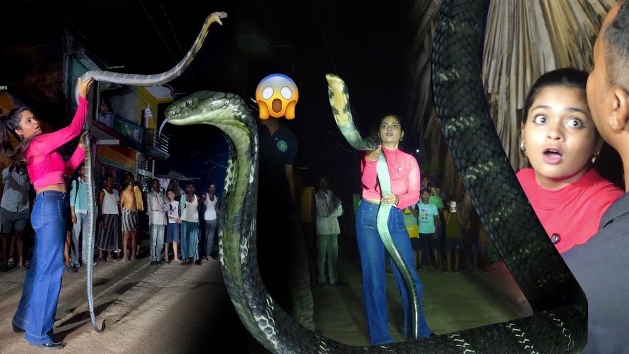 Brave girl saves someone's life by facing King Cobra! 😱🐍Girl&rsquo;s Incredible Courage Facing King Cobra!