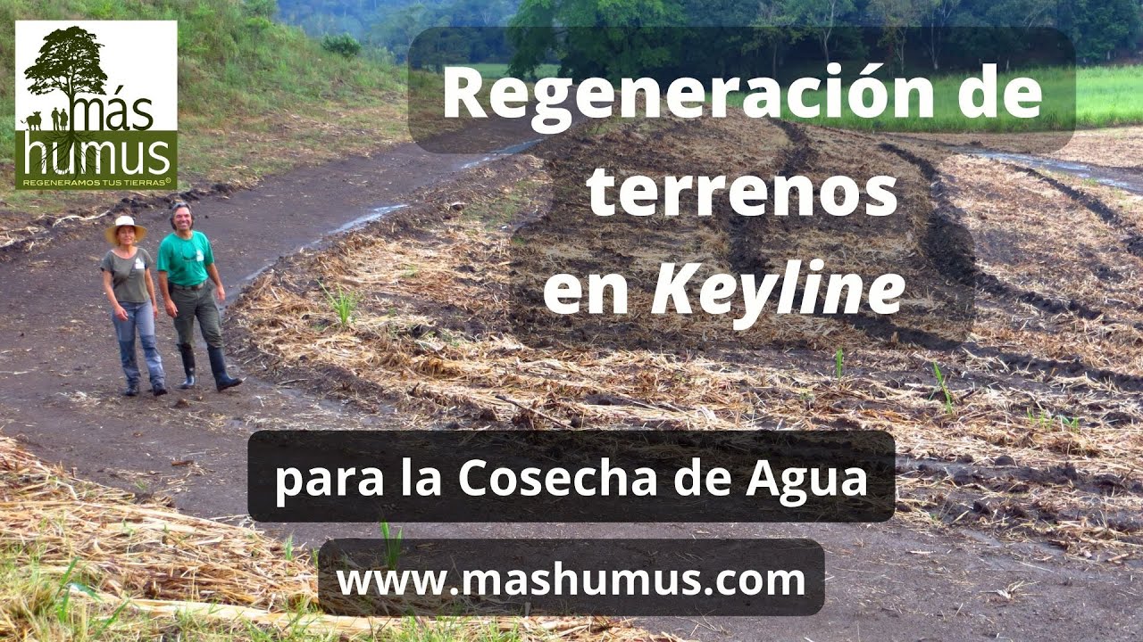 Regeneración de terrenos con Keyline o Linea Clave con Máshumus. info@mashumus.com