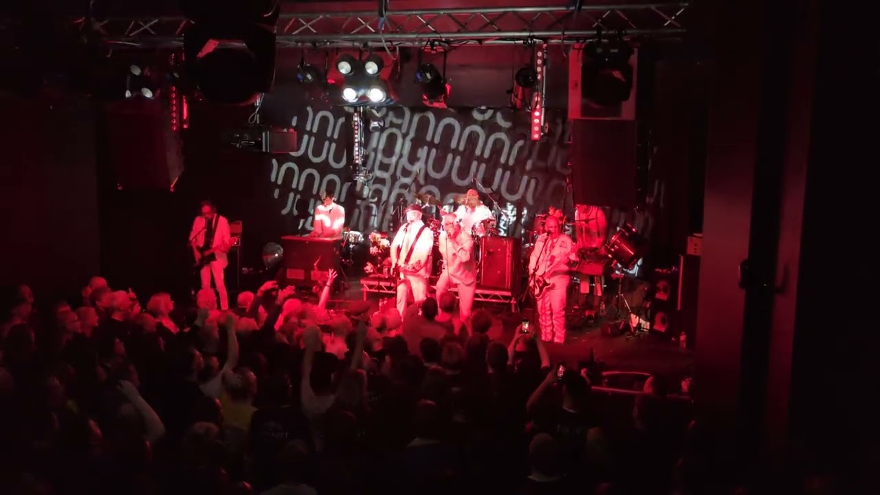 Cardiacs Family ~ Anything I Can't Eat ~ Band on the Wall ~ 10.10.24
