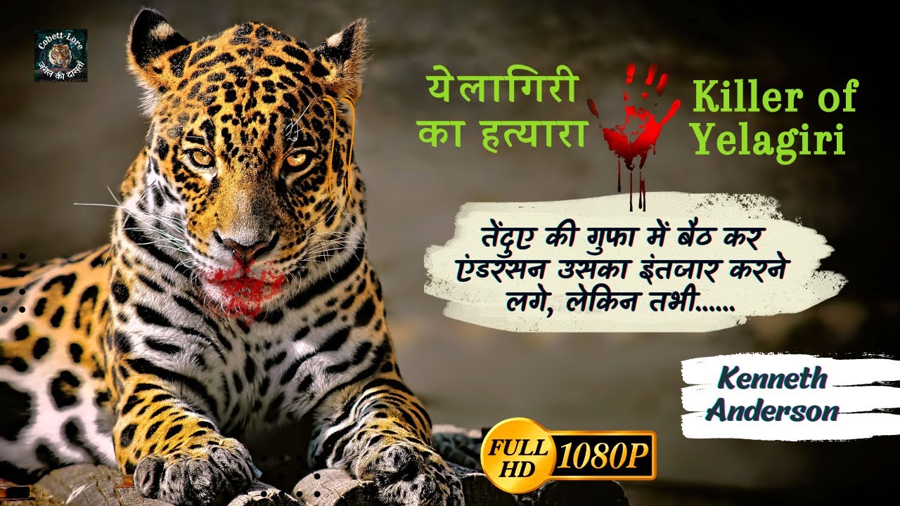 तेंदुए की गुफा में बैठ कर एंडरसन उसका इंतजार करने लगे, लेकिन तभी. Yelagiri Maneater Kenneth Anderson