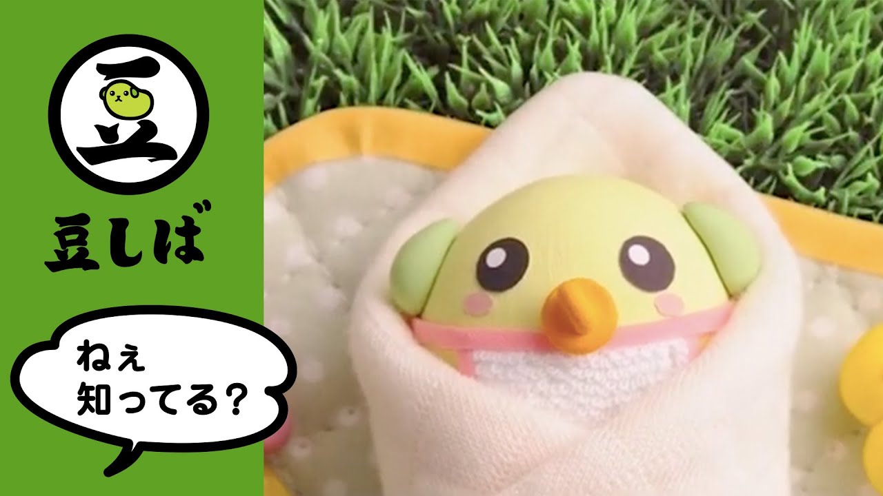 【ベビしば】あやす篇【豆しば】