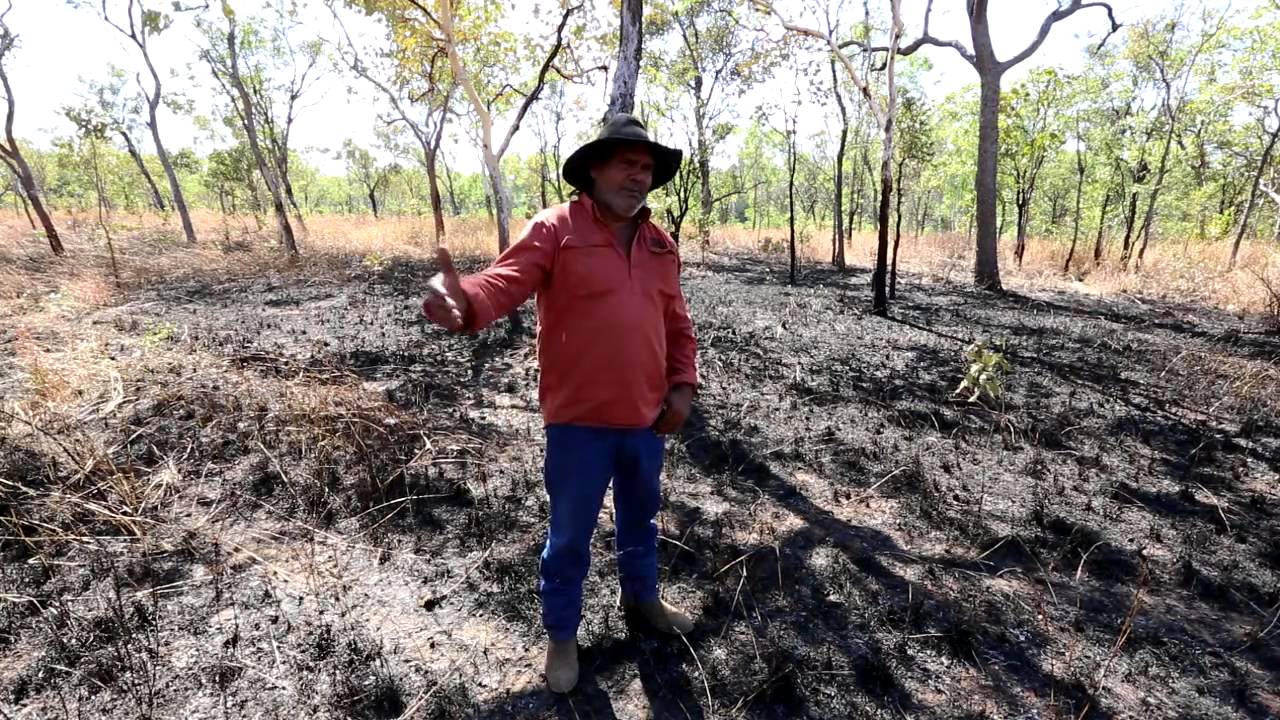 How to conduct a cool burn - Cool Burning