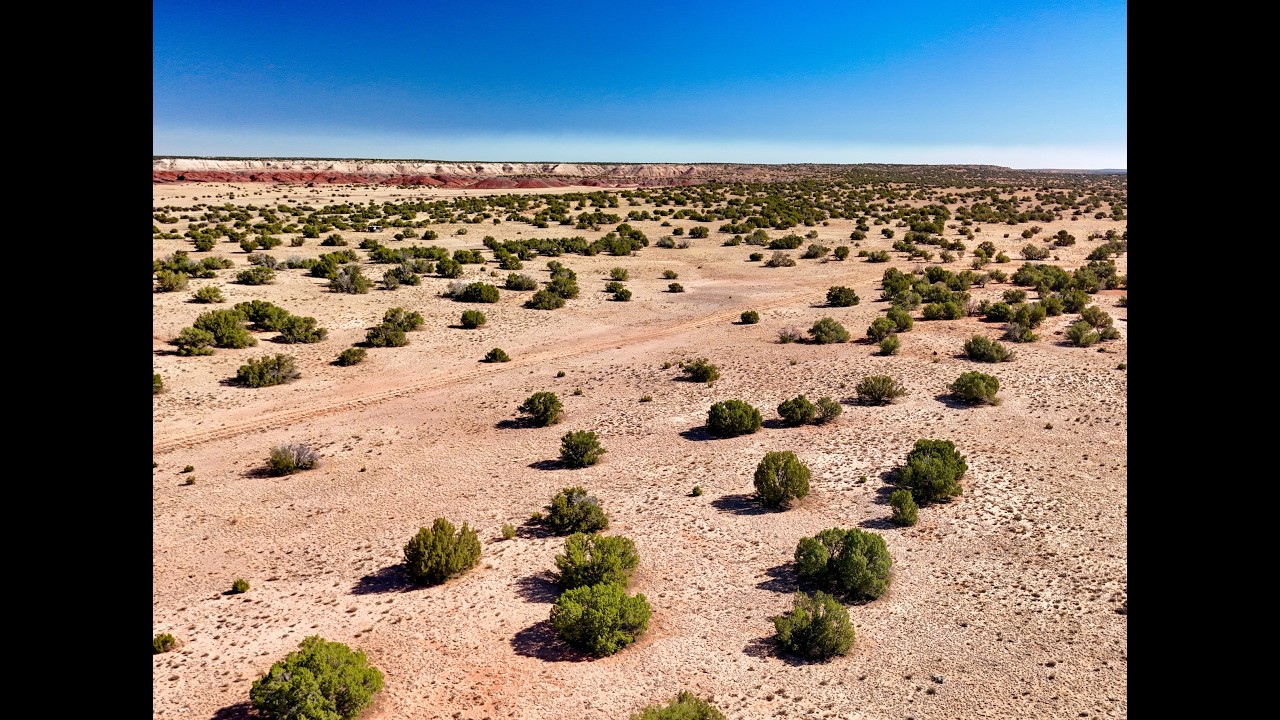 40 Acres Near the Painted Desert — No HOA, No Restrictions | Apache County, AZ