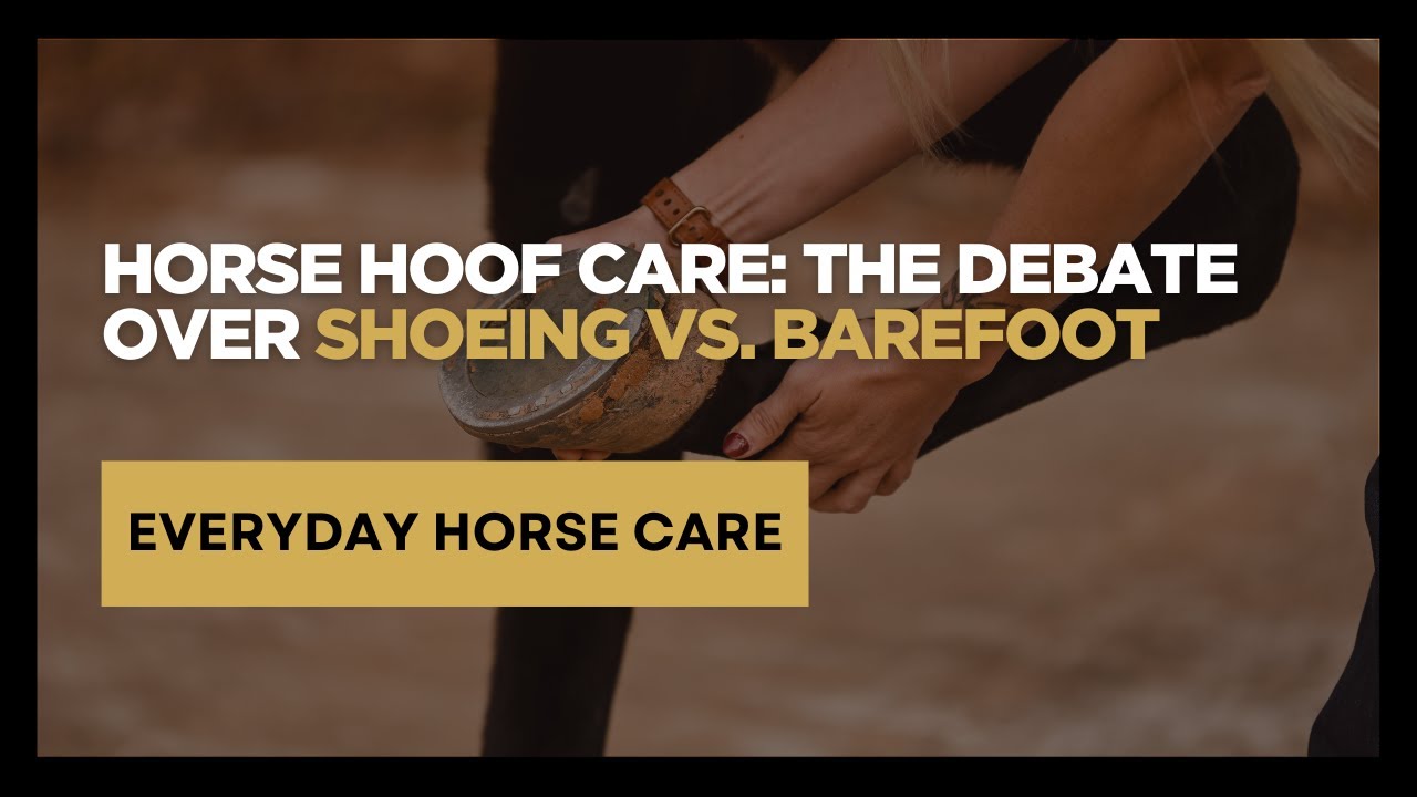 Horse Hoof Care: The Debate Over Shoeing vs. Barefoot