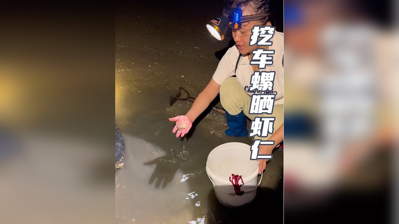 又是半夜赶海的一天！看看深夜赶海能赶到什么！