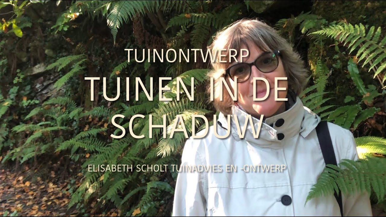 TUINONTWERP: SCHADUW IN DE TUIN