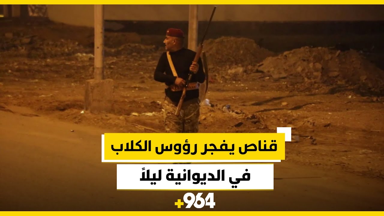 قناص يفجر رؤوس الكلاب في الديوانية كل ليلة