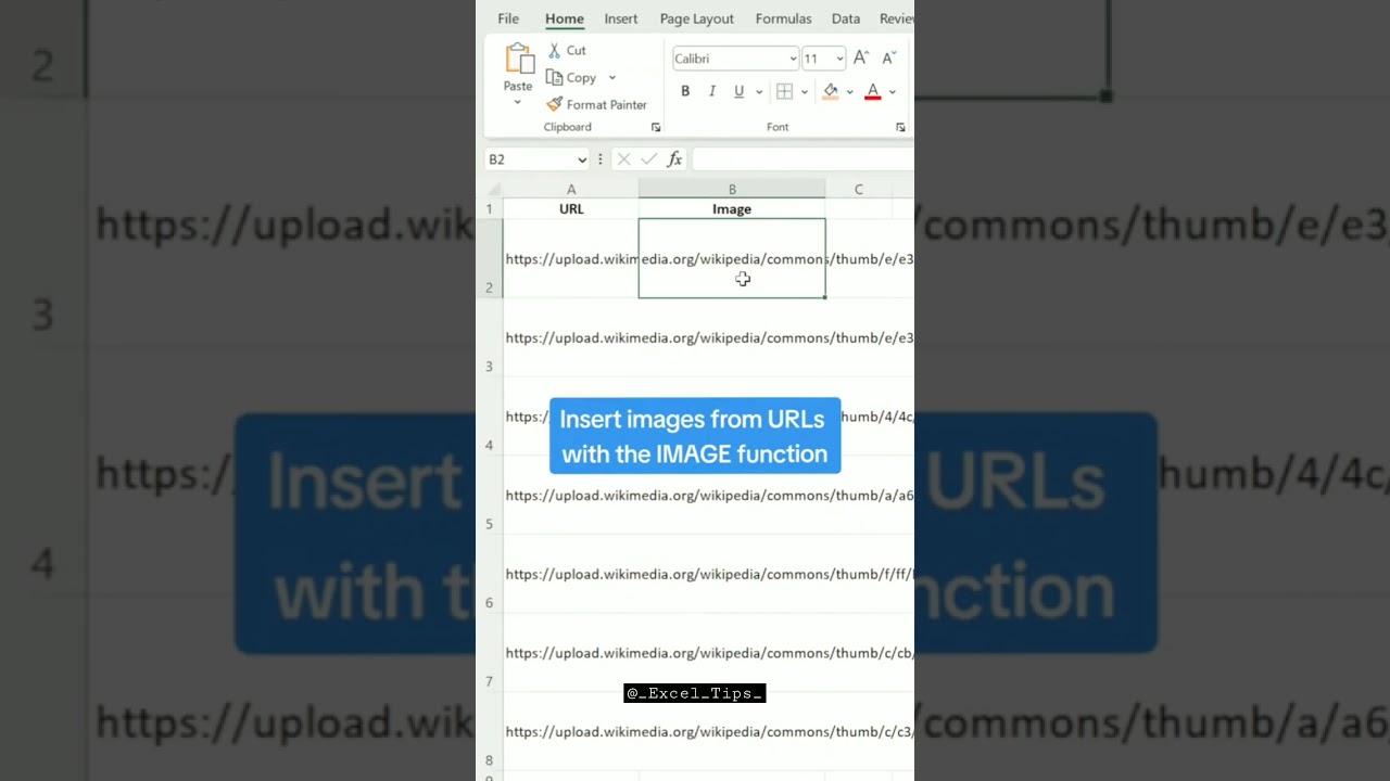 EXCEL TIPS AND TRICK - 9 Insert images from URLs into cells with the IMAGE function#excel #exceltips