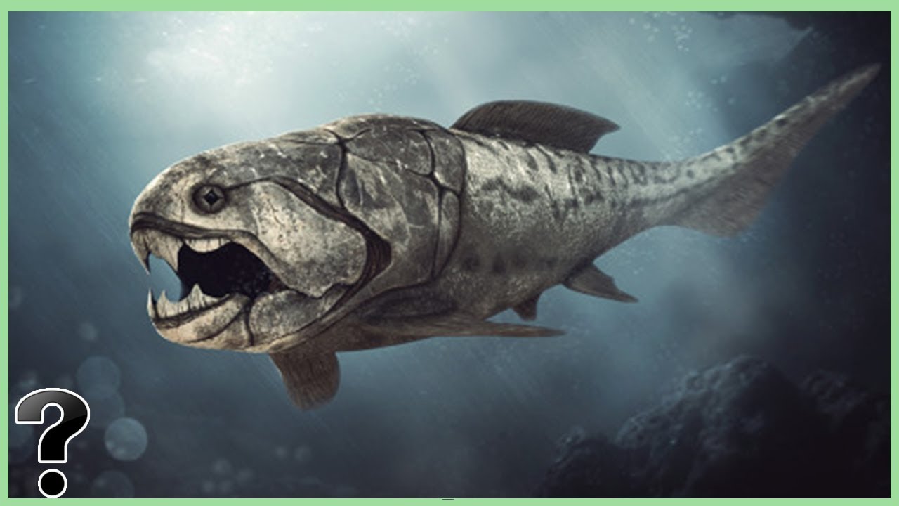 What If The Dunkleosteus Didn't Go Extinct?
