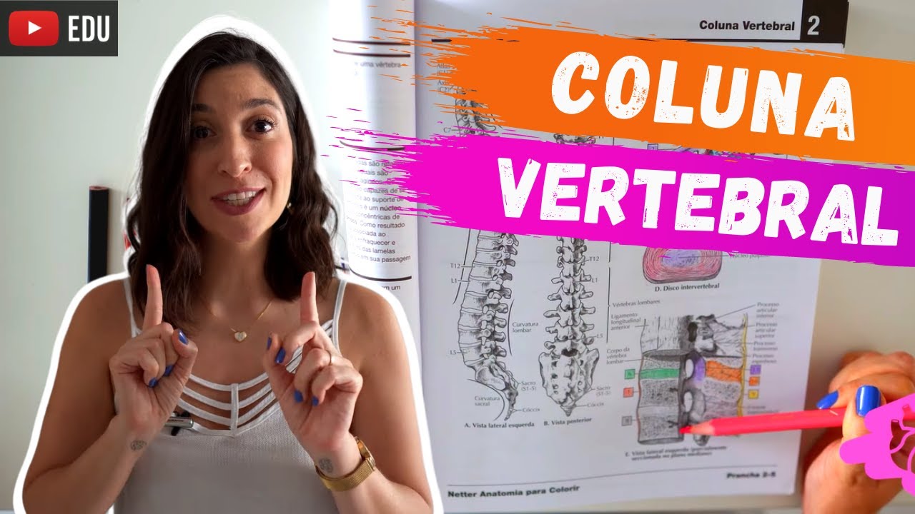 COLUNA VERTEBRAL: Anatomia para colorir!