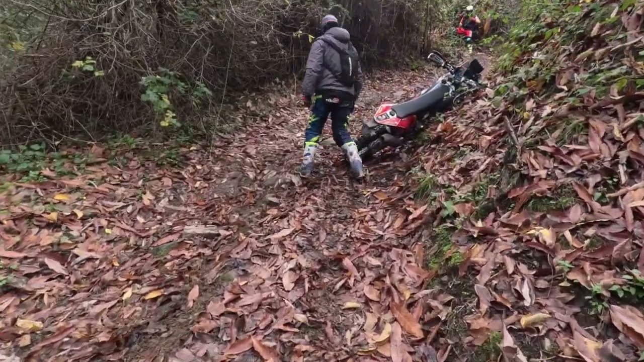 Passeio de Amigos pela terra de Viseu até à Régua (ida e volta)