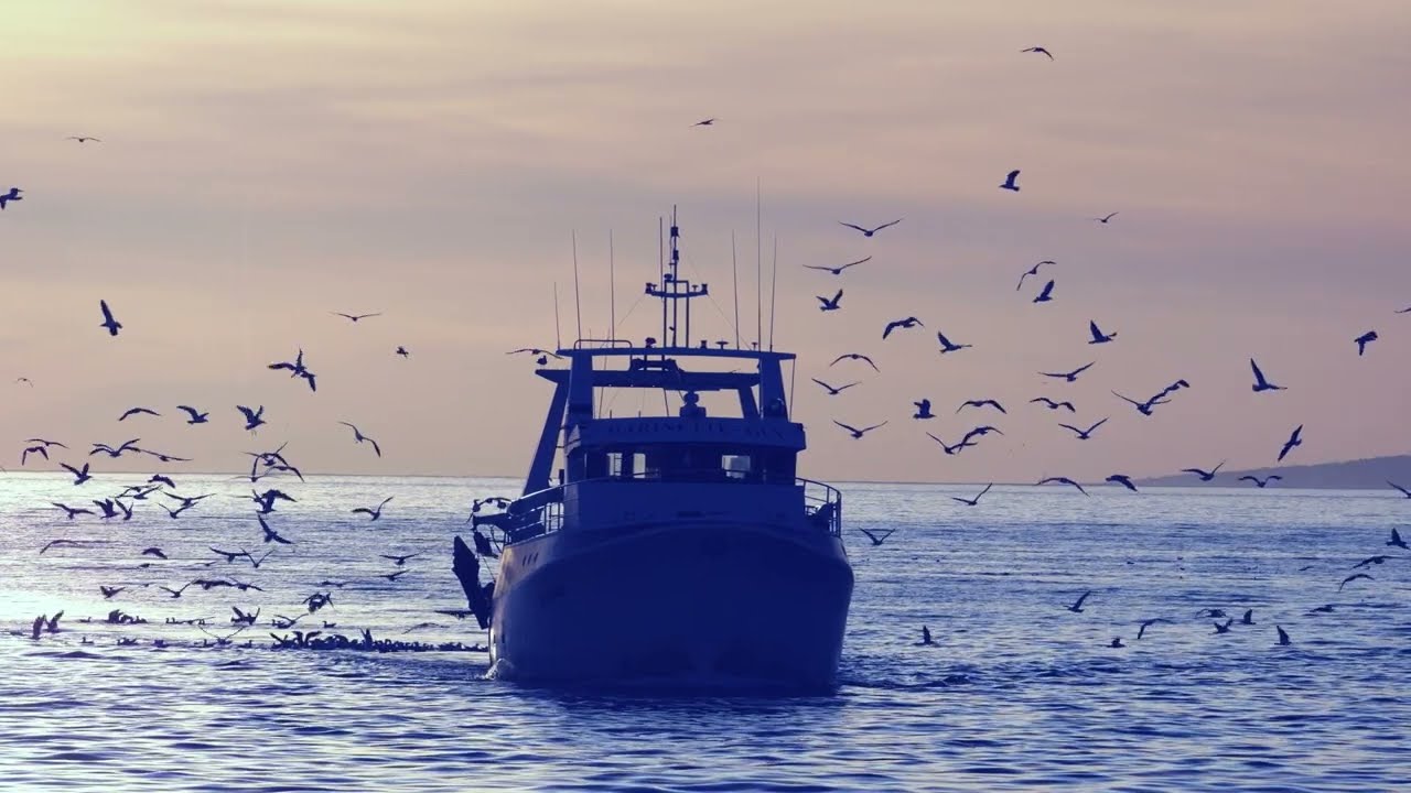 UN PA&Iacute;S DE MAR - CANARIAS