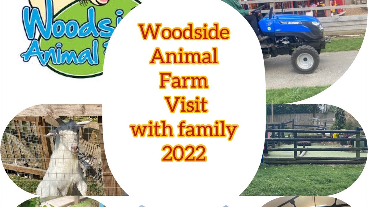 Woodside animal farm such a great place to visit with family