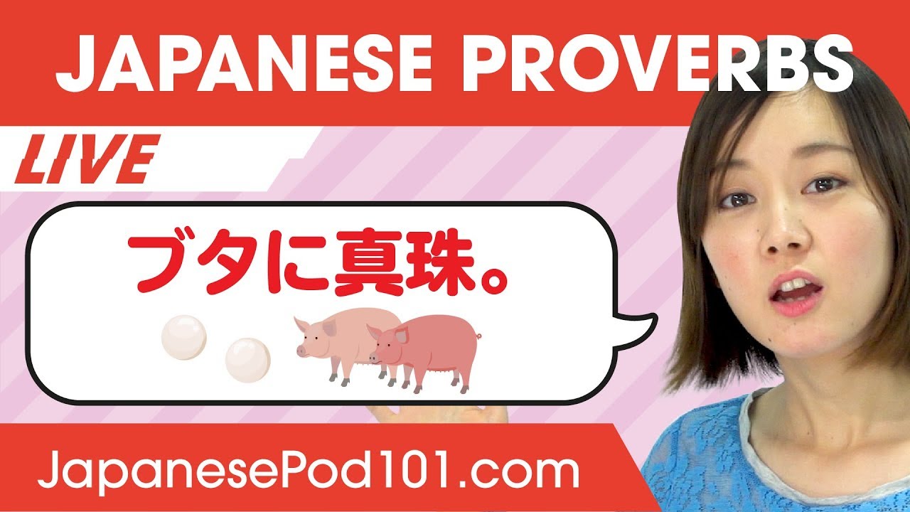 Do You Know the Most Common Japanese Proverbs? | Learn Basic Japanese