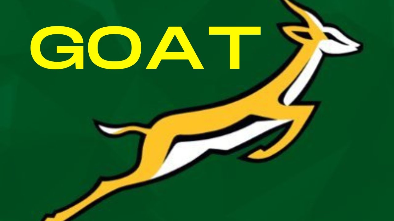 ALL for ONE for the SPR1NGBOKS