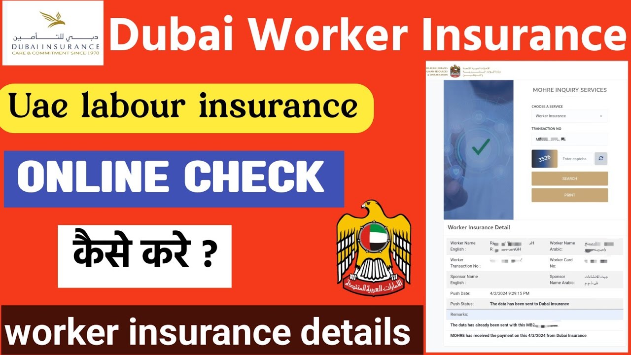 Uae labour insurance | uae worker insurance check online | Dubai worker compensation insurance