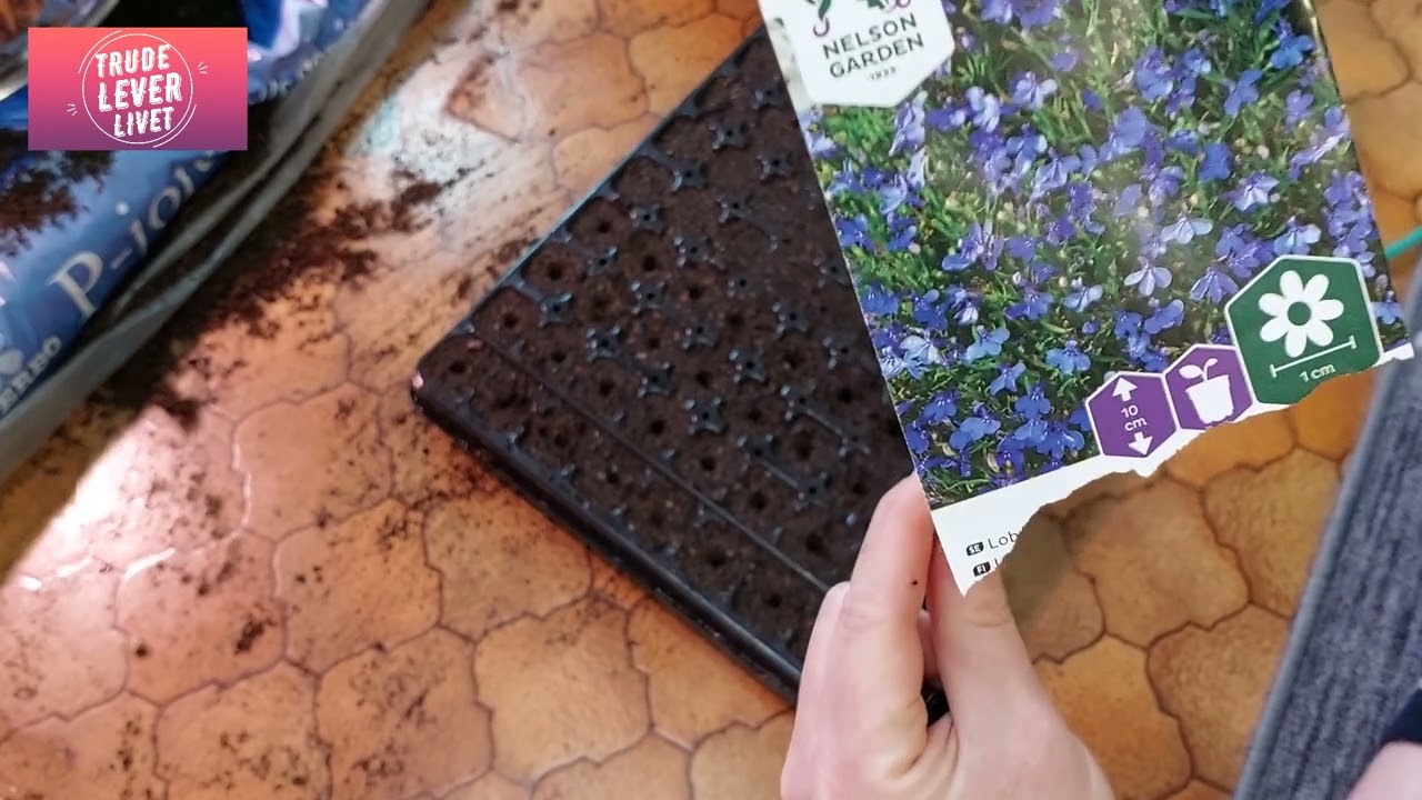 Sår Lobelia og mye mer!