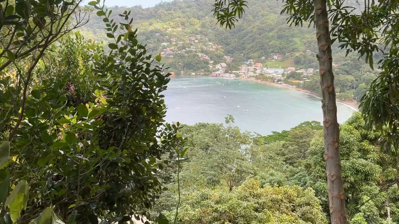 22-Minute Escape: Coastal View of Man-O-War Bay (Natural Sound)