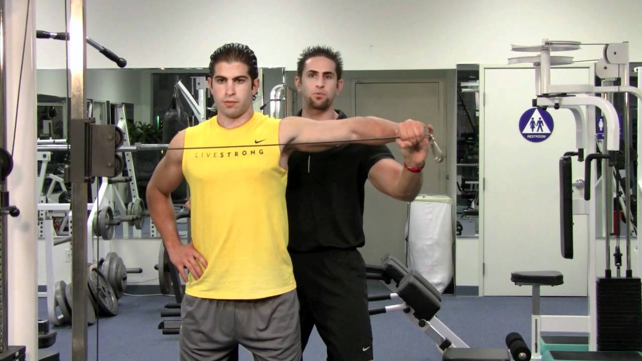 SINGLE ARM, REAR DELT CABLE FLY