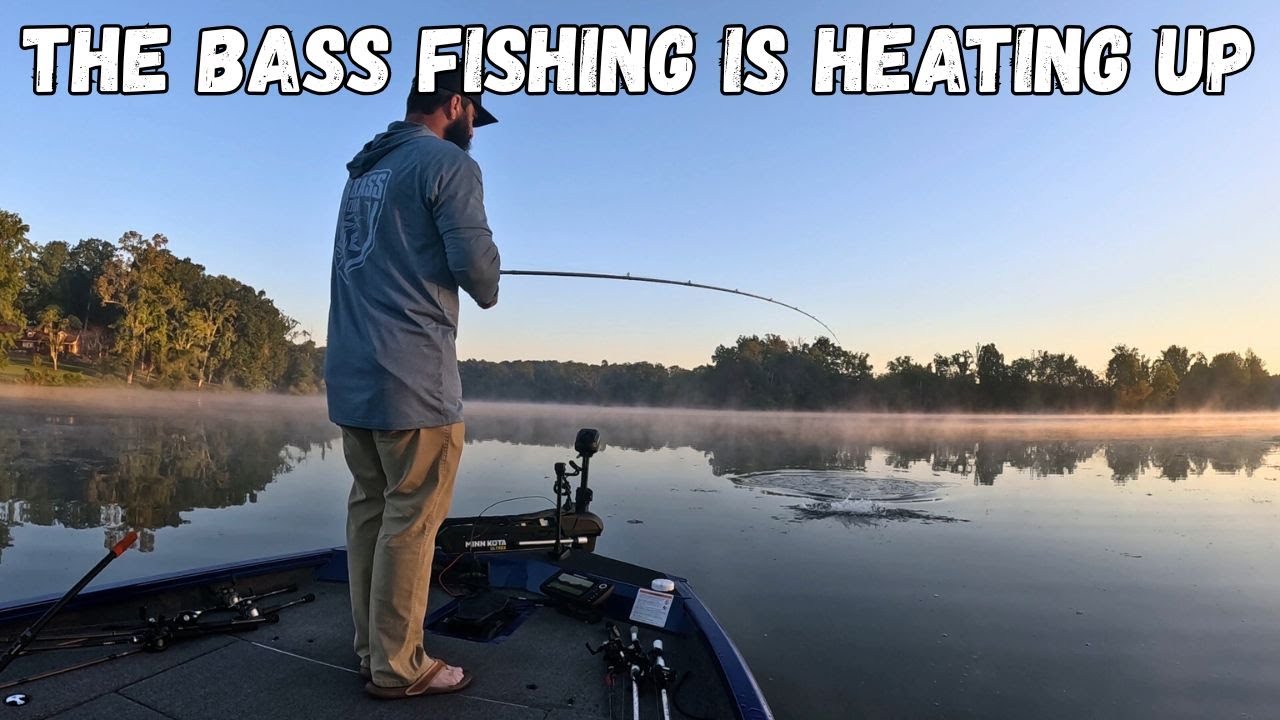 Lake Chickamauga Bass Fishing in the Fall Transition | Shallow Water Bass Smash Baits