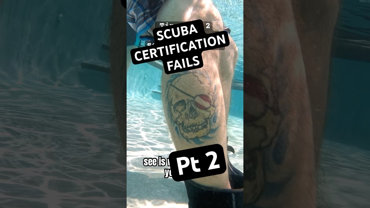 How to get Scuba Certified & become a diver 🤿✅ #scubadiving #dive #scubacourses