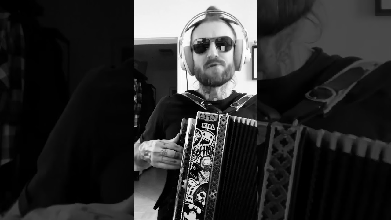 basket case - greenday - steirische harmonika