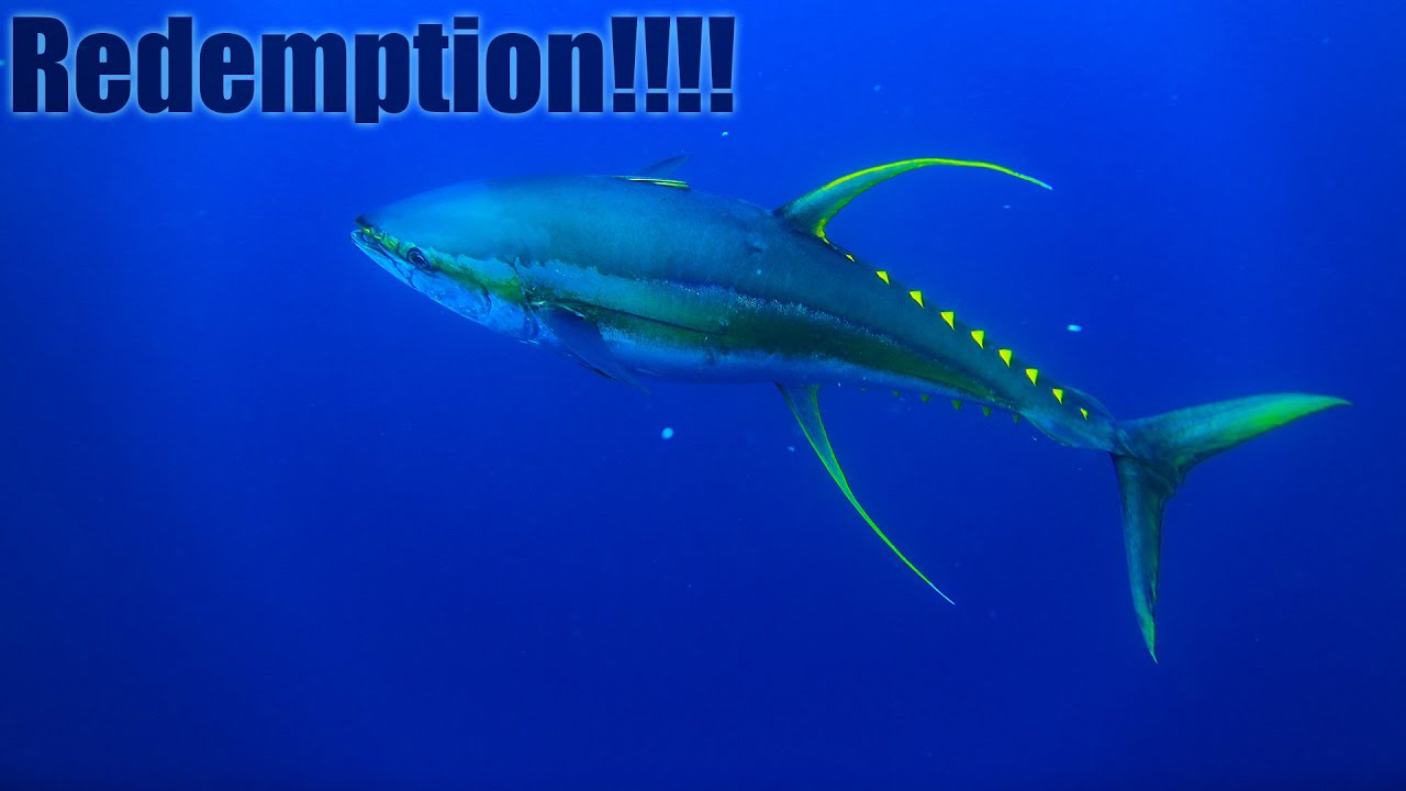 MASSIVE TUNA EVERYWHERE!!! {CATCH CLEAN COOK} Buena Vista Lodge *Guatemala*