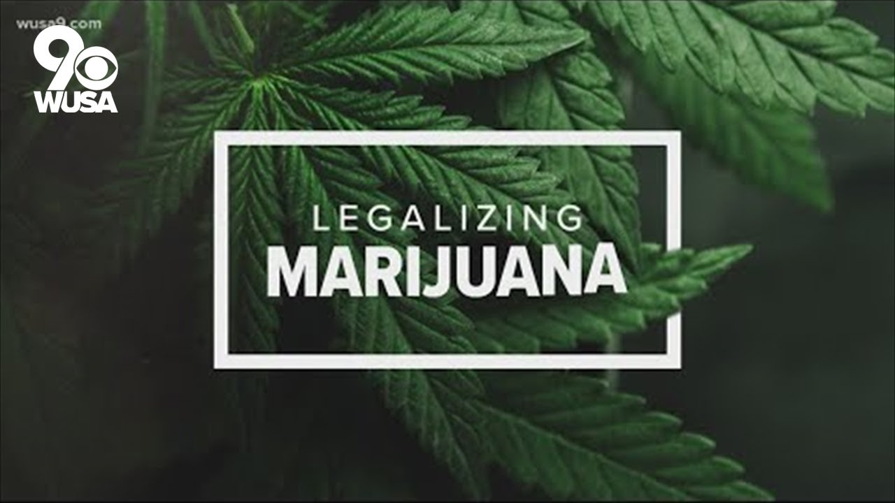 As Virginia preps to legalize cannabis, questions surround seed giveaways