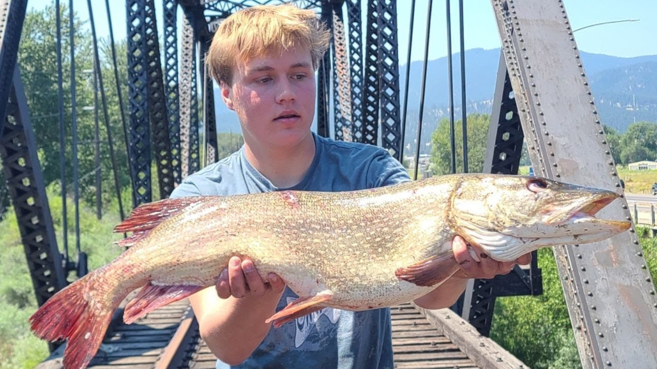 How to Catch GIANT Pike in Montana