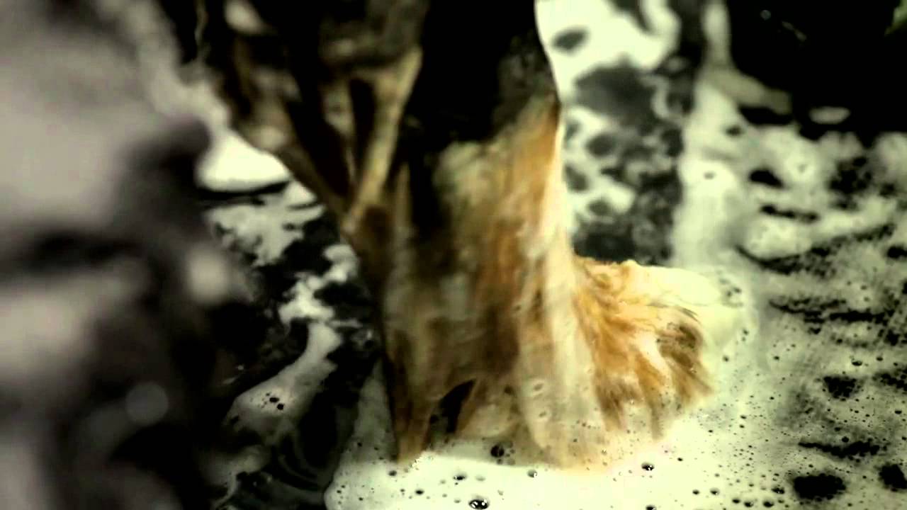 Yuck - Rubber (Official Music Video)