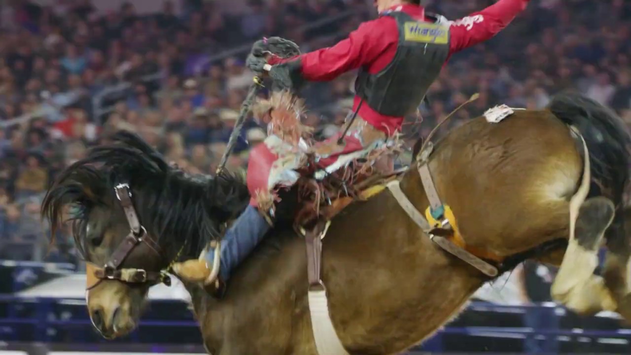 Cavenders - RFDTV The American
