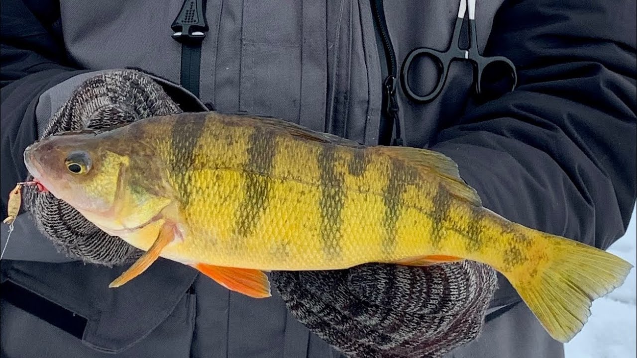 Ice Fishing Lake Winnebago 1-21-23