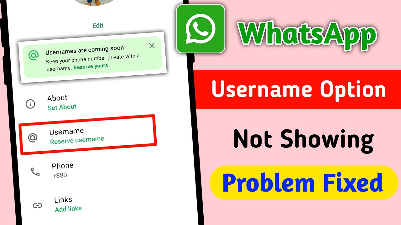 Не отображается функция выбора имени пользователя в WhatsApp 2026 | Как исправить ошибку, если об...