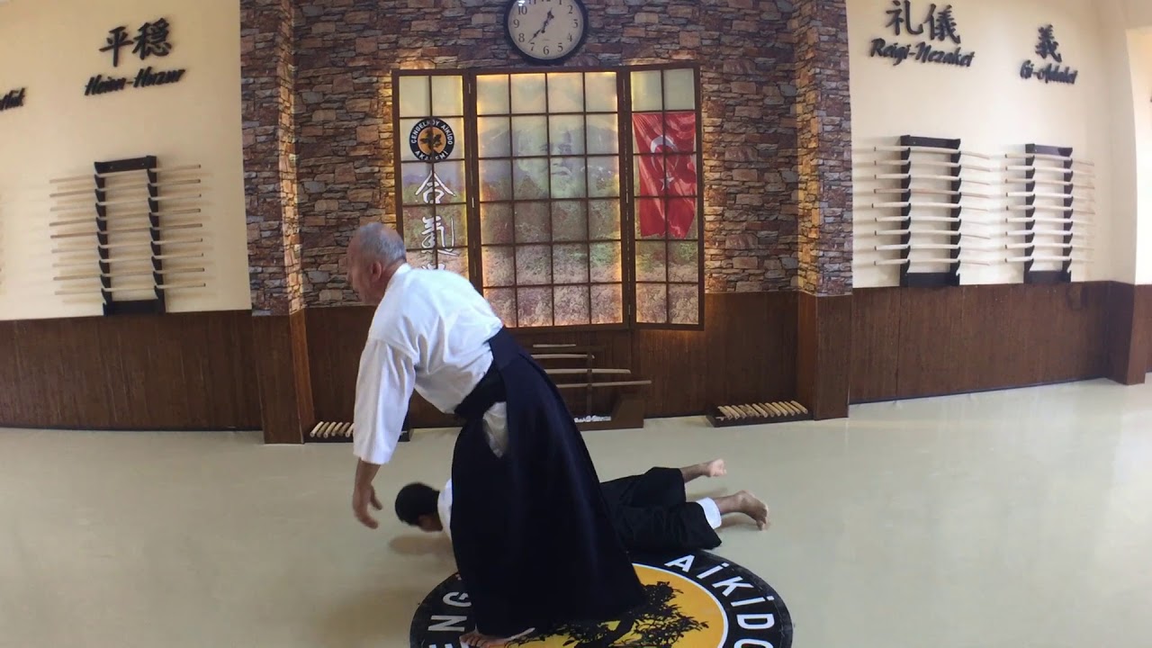 Gyaku Hanmi Katetedori (Junte) İkkyo (Omote-Ura) | Yetişkin Aikido | Genç Aikido |