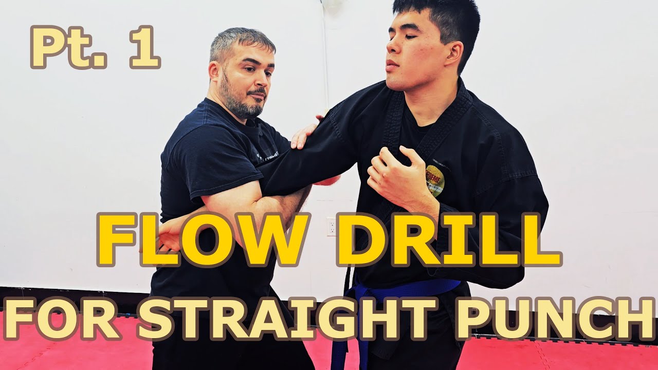 Flow Drill for Straight Punch pt. 1