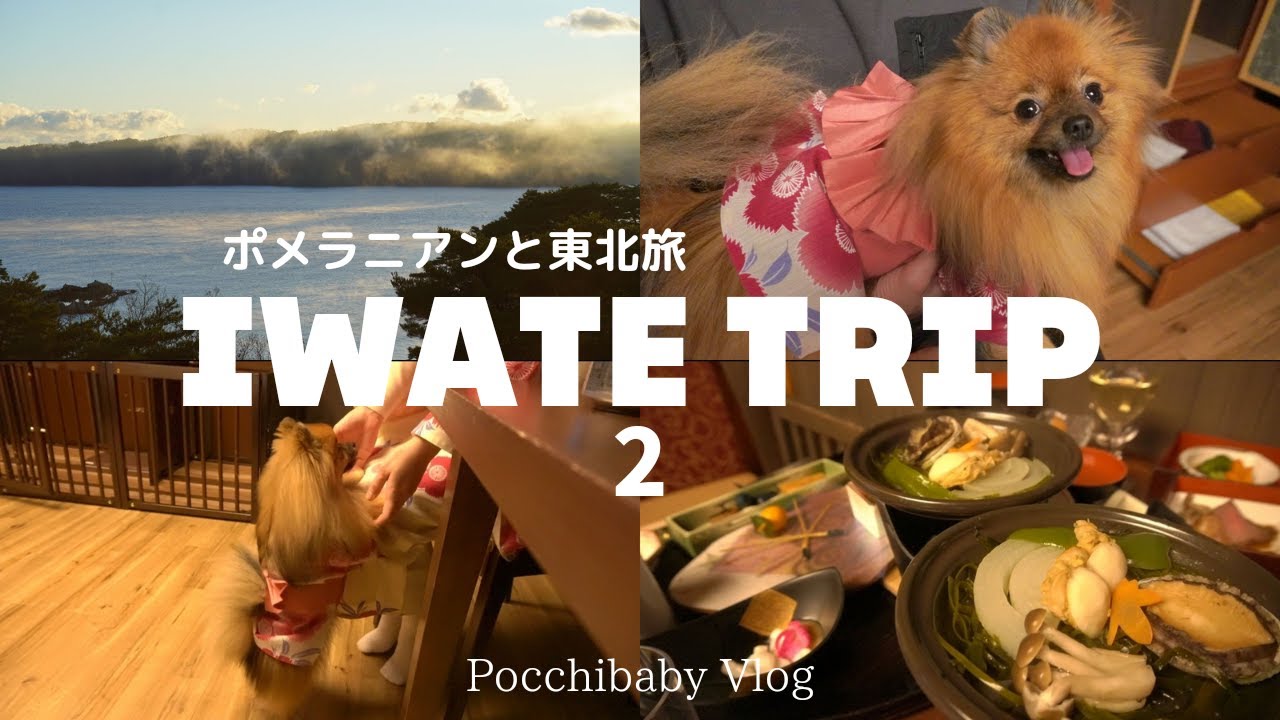 【犬旅 東北編2】絶景・ドッグラン付きのお部屋に宿泊🐶浄土ヶ浜パークホテルで三陸の海の幸を楽しむ