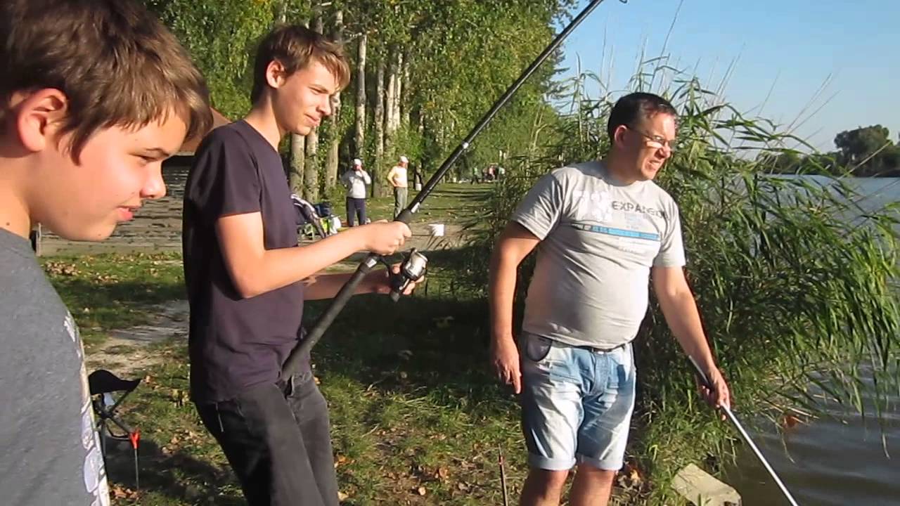 Ponty Fárasztás