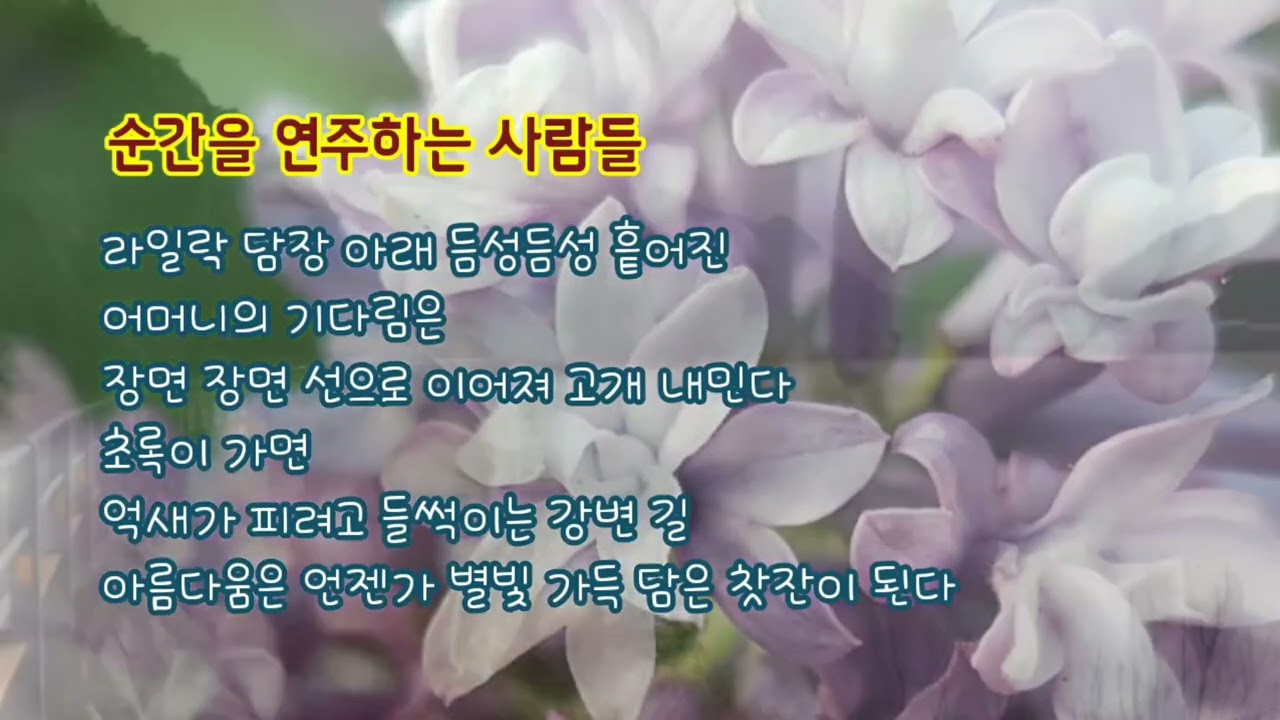 《별빛 찻잔》순간을 연주하는 사람들/시  박은희/Ai노래  #별빛찻잔시집 #힐링음악 #휴식 #영상음악  #시 #시노래