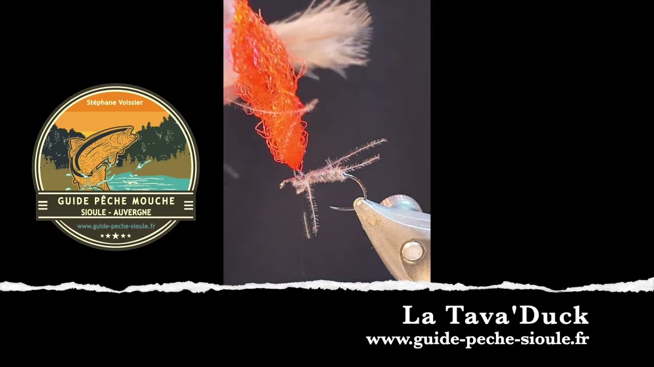 Montage: La Tava'Duck