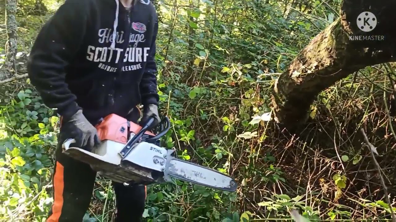 stihl ms 660