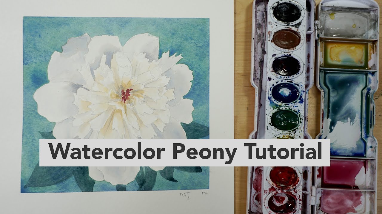 How to draw and paint a Watercolor Peony - Intermediate Tutorial