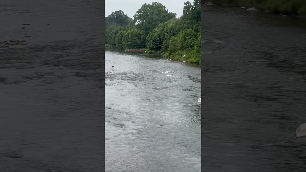 The Thames River is located in southwestern Ontario, Canada. 🇨🇦